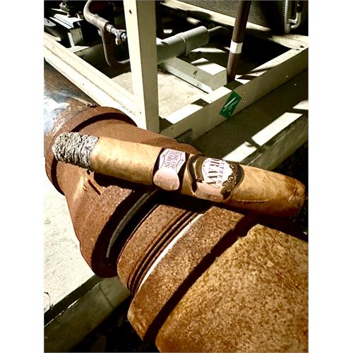 Southern Draw Rose of Sharon Gordo 6 1/2 * 60