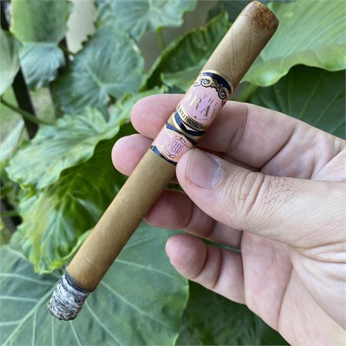 Southern Draw Rose of Sharon Lancero LE 7 1/2 * 40