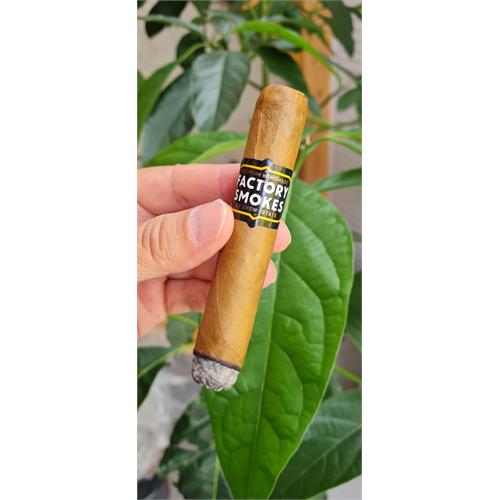 Factory Smokes Shade Robusto 5  * 54