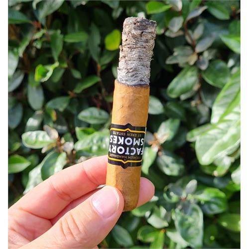 Factory Smokes Shade Robusto 5  * 54