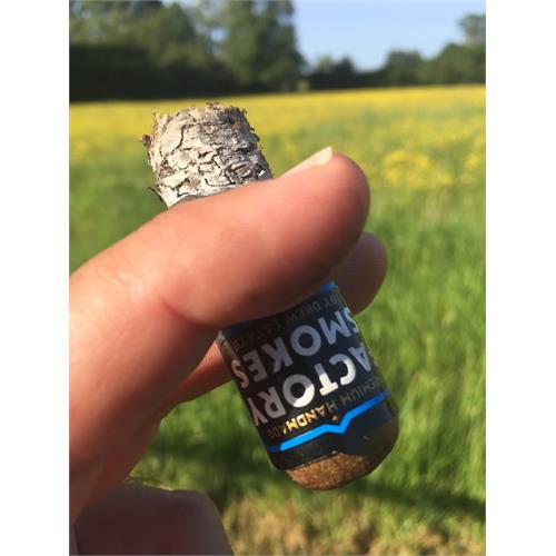 Factory Smokes Sun Grown Robusto 5  * 54