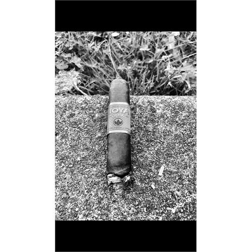 Joya Silver Toro 6  * 52