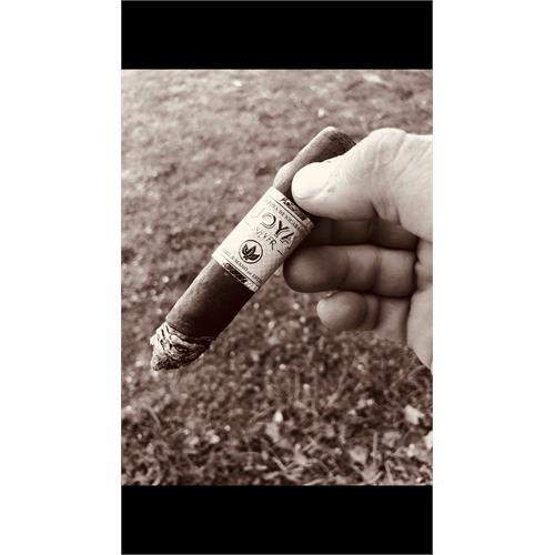 Joya Silver Toro 6  * 52