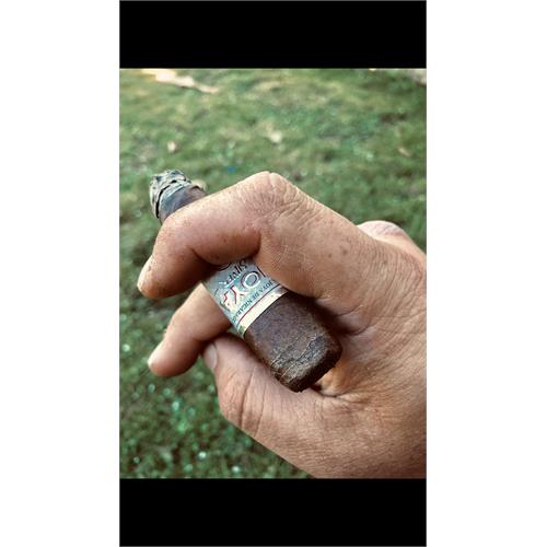 Joya Silver Toro 6  * 52