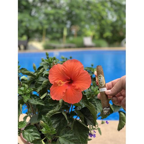 Davidoff 50 Years Limited Edition Diademas Finas Americas 6 3/4 * 50 