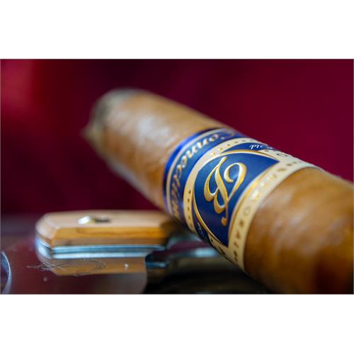 Balmoral Anejo XO Connecticut Petit Robusto FT 4 1/4 * 48