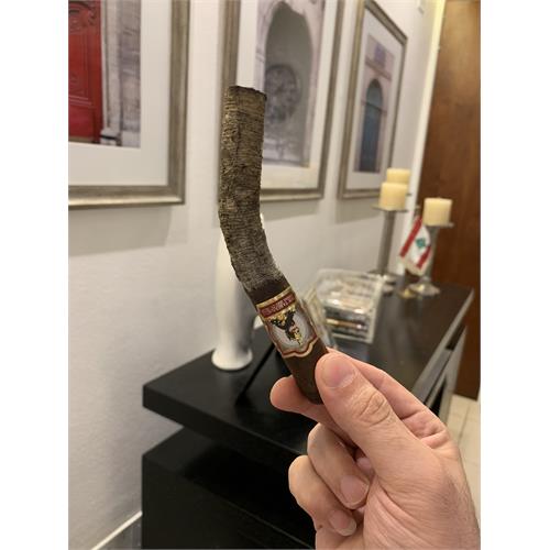 Tabernacle Havana Seed CT No.142 Double Corona 7  * 54