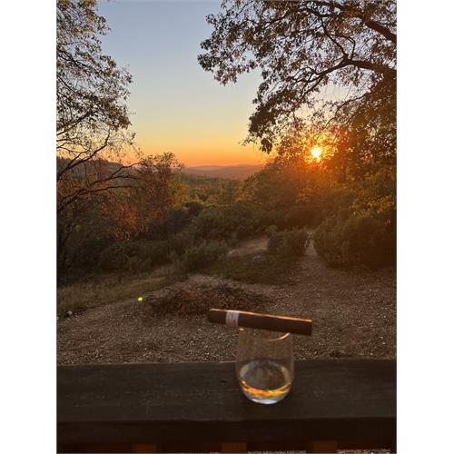 Liga Privada H99 Toro 6  * 52