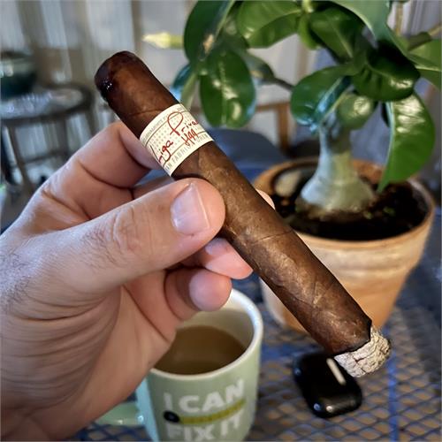 Liga Privada H99 Toro 6  * 52