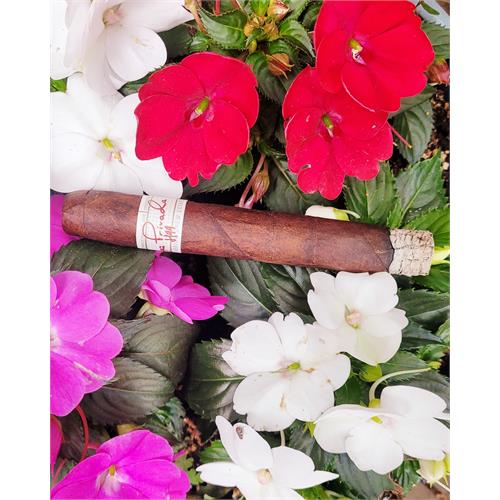 Liga Privada H99 Toro 6  * 52