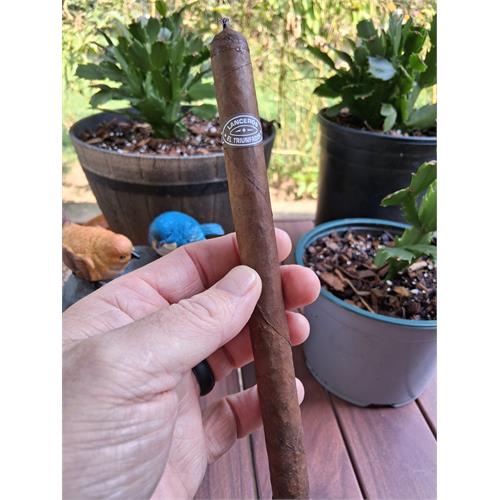 Tatuaje El Triunfador Broadleaf Original Lancero 7 1/2 * 38