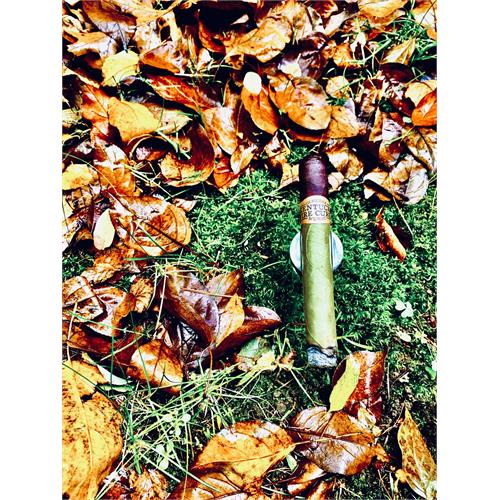 Kentucky Fire Cured Swamp Thang Ponies 4  * 32