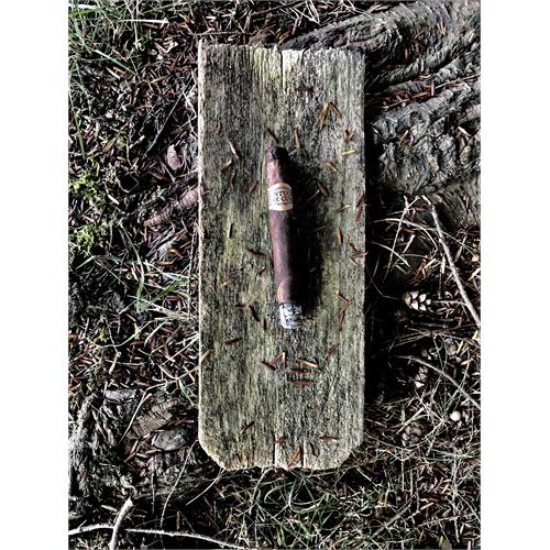 Kentucky Fire Cured Ponies 4  * 32