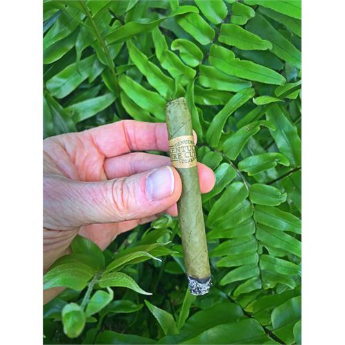 Kentucky Fire Cured Ponies 4  * 32