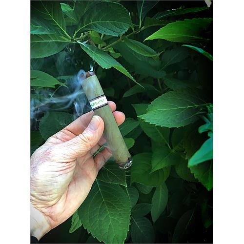 Espinosa Wasabi 5  * 52 