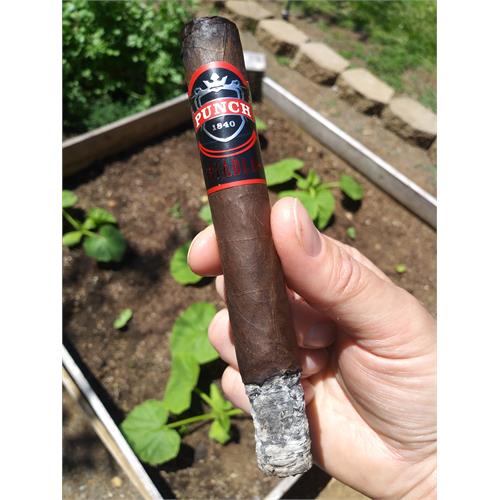 Punch Diablo Scamp 6 1/8 * 50