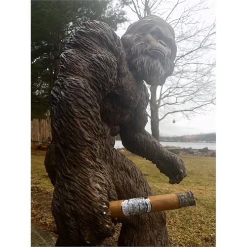 Rough Rider Sweets Connecticut Robusto 5  * 50