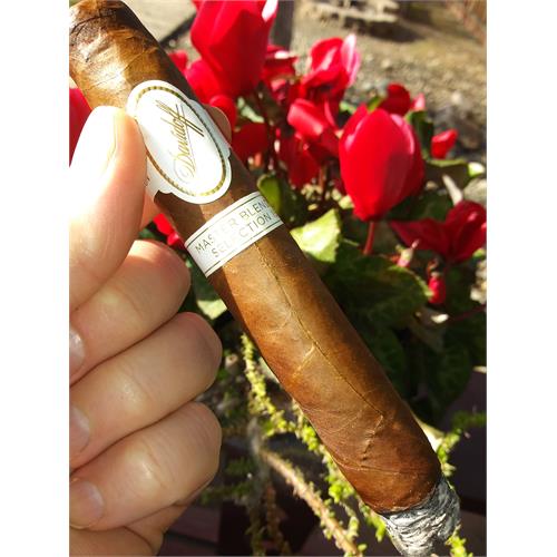 Davidoff Master Blend Selection 15 Toro 6  * 52