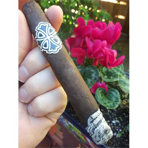 Sin Compromiso Seleccion Intrepido 5 2/3 * 46