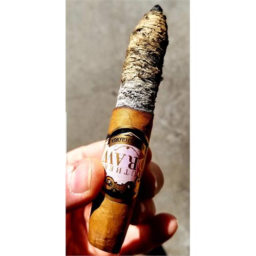 Southern Draw Rose of Sharon Perfecto LE 6  * 56