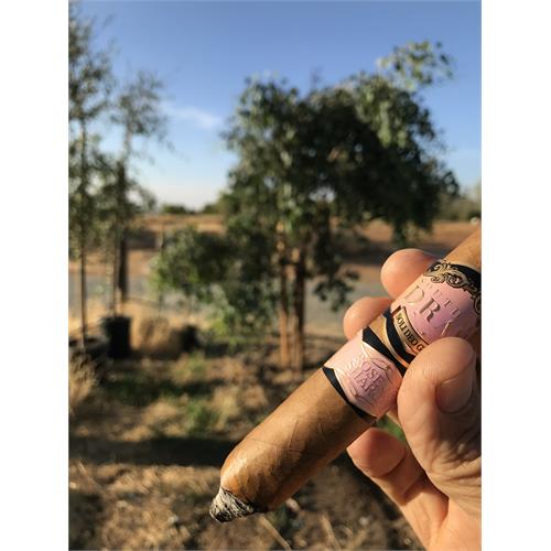 Southern Draw Rose of Sharon Perfecto LE 6  * 56