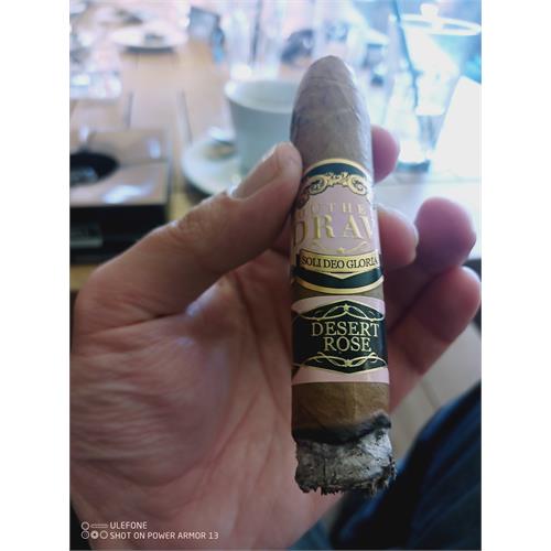 Southern Draw Rose of Sharon Perfecto LE 6  * 56