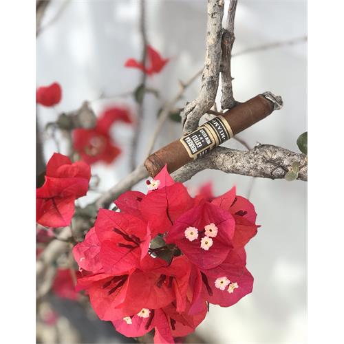 Herrera Esteli Miami Short Corona Gorda 5 3/4 * 48