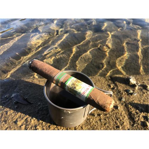 New World Cameroon Gordo 6  * 60