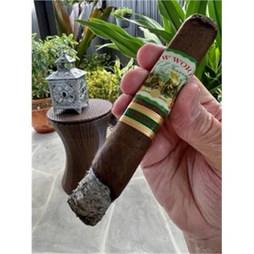 New World Cameroon Gordo 6  * 60