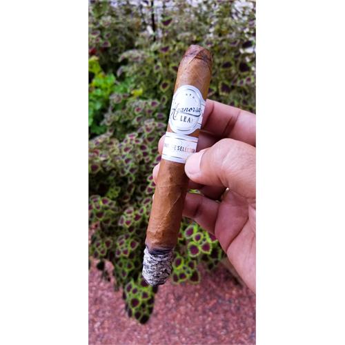 Aganorsa Leaf Signature Selection Belicoso 6 1/4 * 52