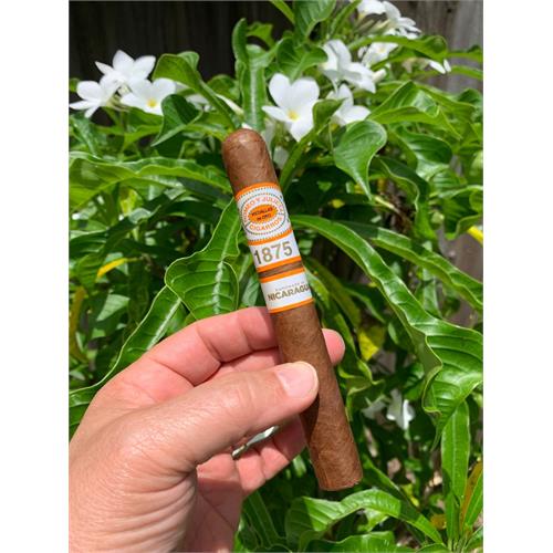 Romeo y Julieta 1875 Nicaragua Toro 6  * 50