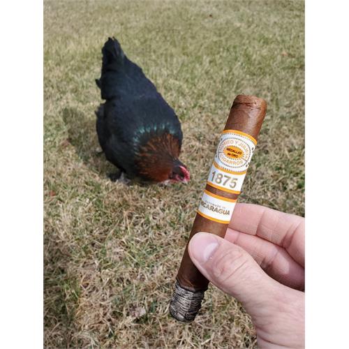 Romeo y Julieta 1875 Nicaragua Toro 6  * 50