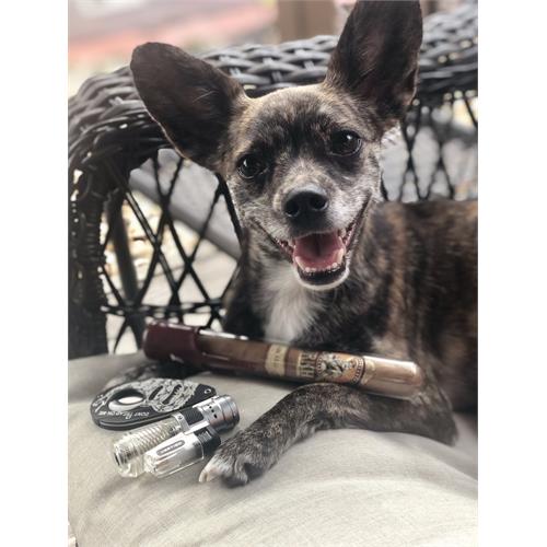 Gurkha Private Select Ron Abuelo Toro 6  * 50