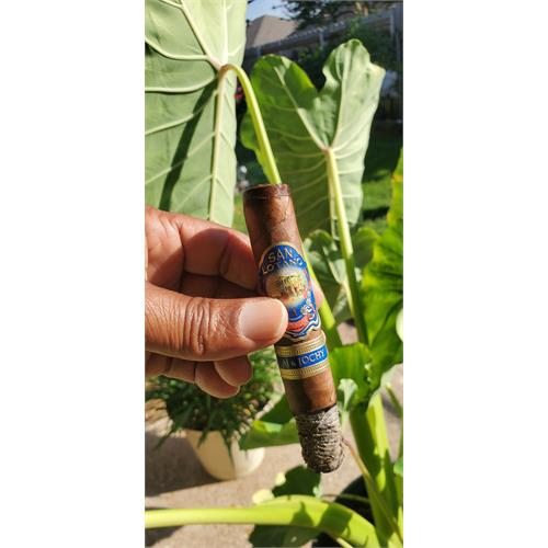San Lotano Dominicano Robusto 5  * 50