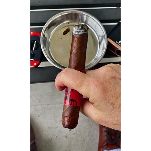 Chillin  Moose Too Gigante 6  * 60