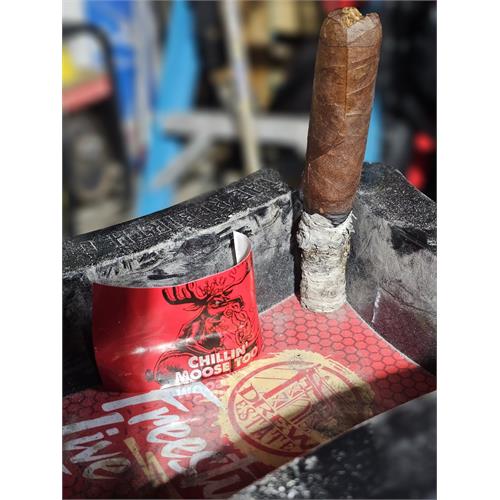 Chillin  Moose Too Gigante 6  * 60