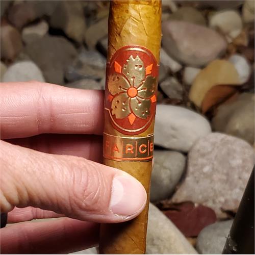 Room 101 The Farce Connecticut Robusto 5  * 50