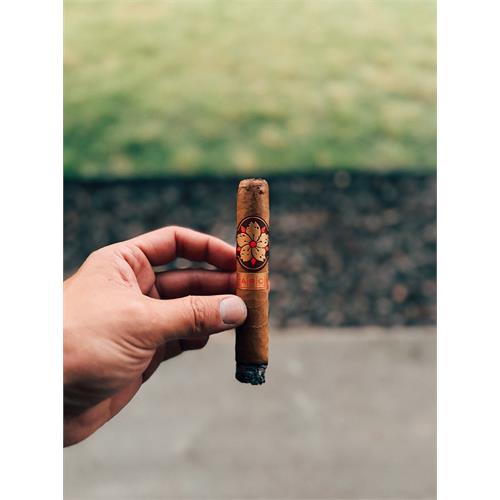 Room 101 The Farce Connecticut Robusto 5  * 50