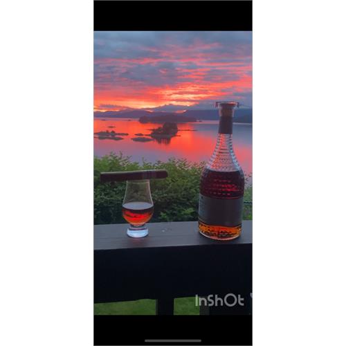 Cohiba Connecticut Robusto 5 1/2 * 50
