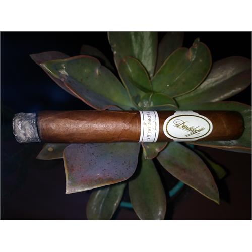 Davidoff Robusto Real Especiales 7 LE 2019 5 1/2 * 48