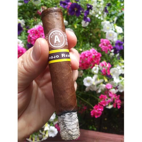 Aladino Corojo Reserva LE Robusto 5  * 50