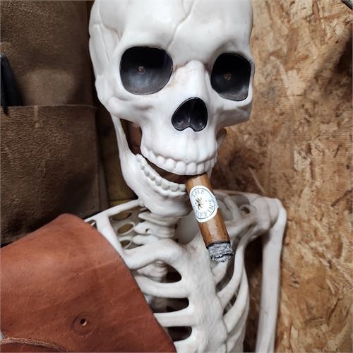 The Griffin s Robusto 5  * 50