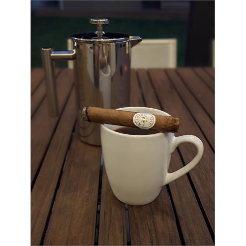 The Griffin s Robusto 5  * 50