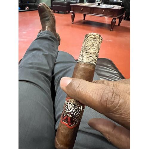 Viva La Vida Toro 6  * 54