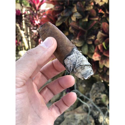 La Aurora 107 Ecuador Zeppelin 5 1/2 * 42