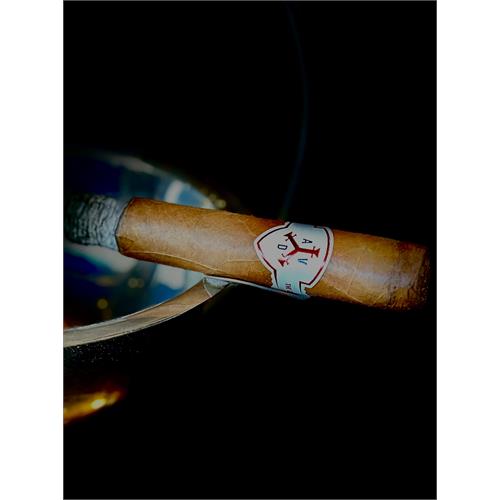 ADVentura the Explorer Robusto Grande 5  * 54