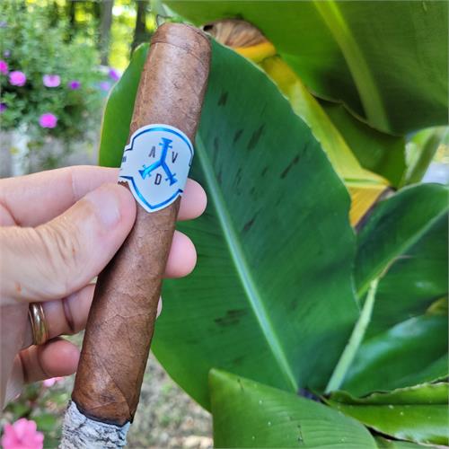 ADVentura the Navigator Cabral 6  * 54