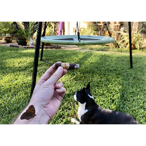 La Aurora 1985 Maduro Robusto 5  * 50