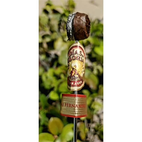 AJ Fernandez Dias de Gloria Short Churchill 6 1/2 * 48