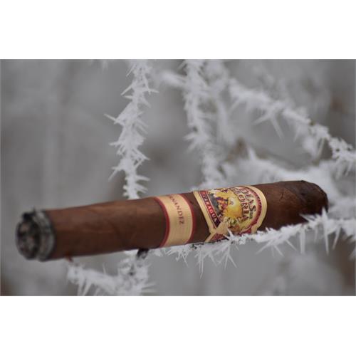 AJ Fernandez Dias de Gloria Toro 6  * 56